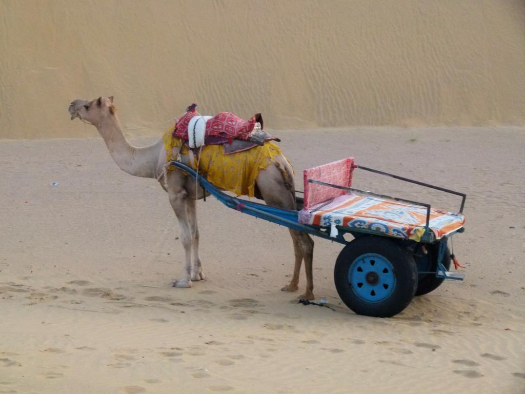 Gajanand Guest House Jaisalmer Bagian luar foto